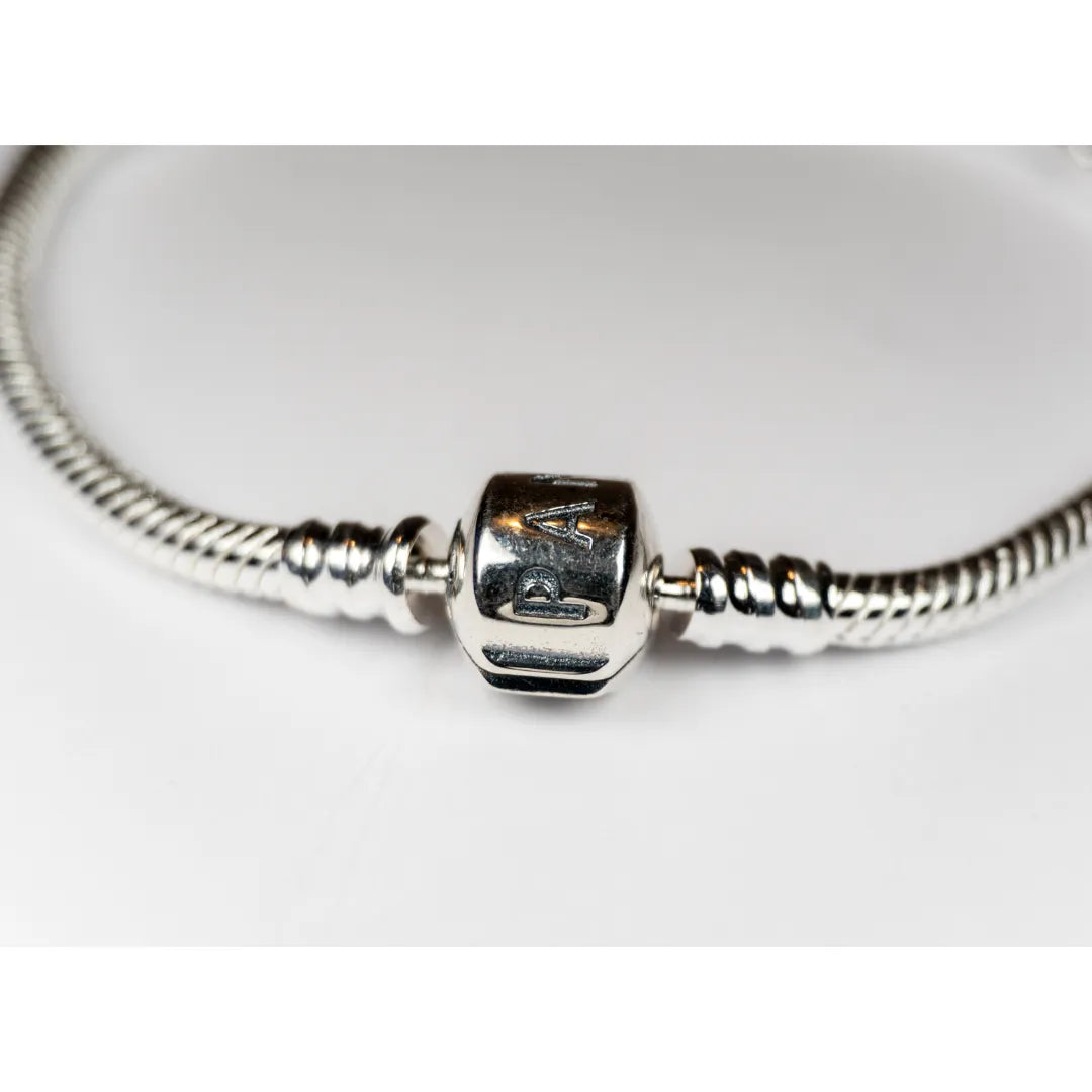 Pandora Narukvica Moments sa zmijskim vezom (Srebro 925)