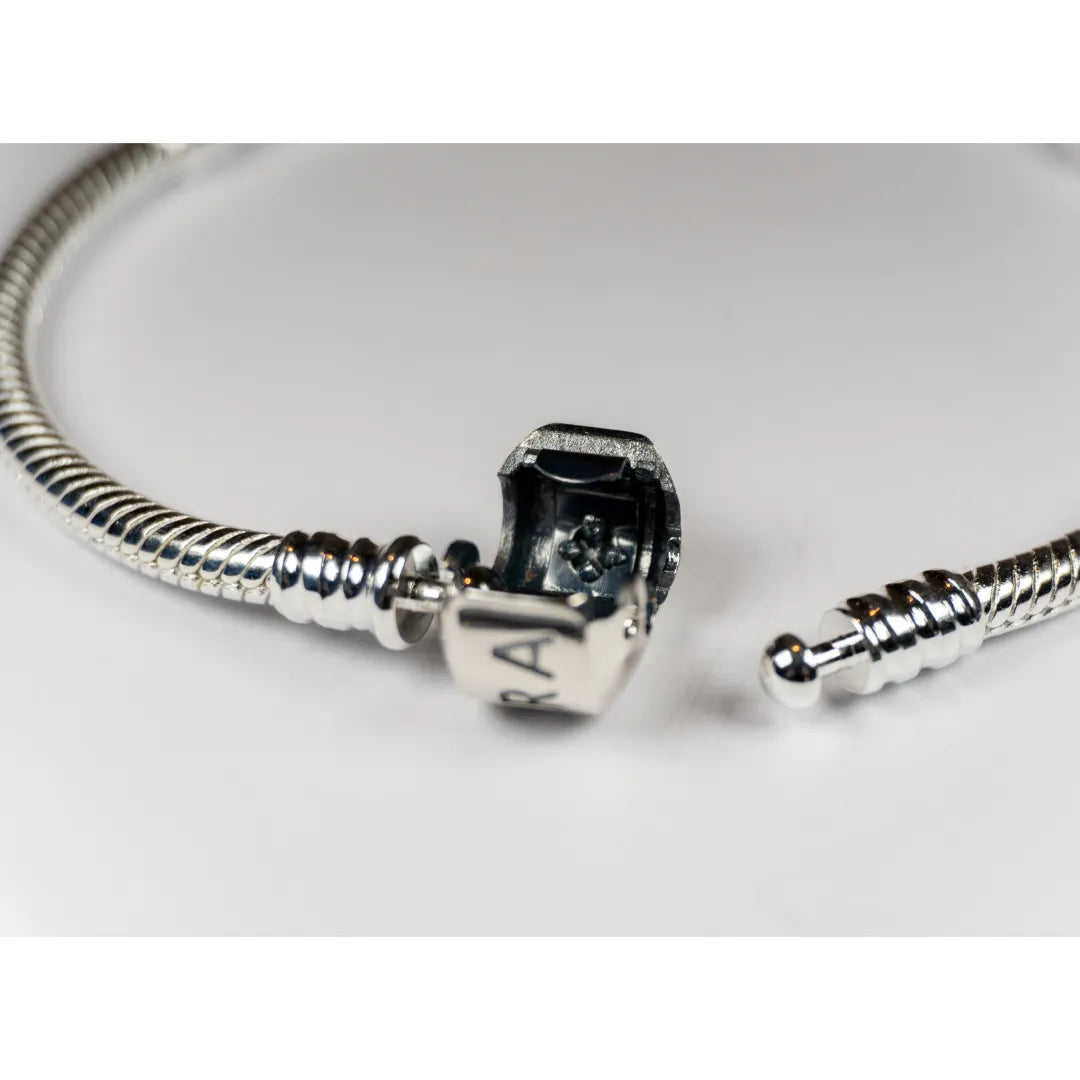 Pandora Narukvica Moments sa zmijskim vezom (Srebro 925)