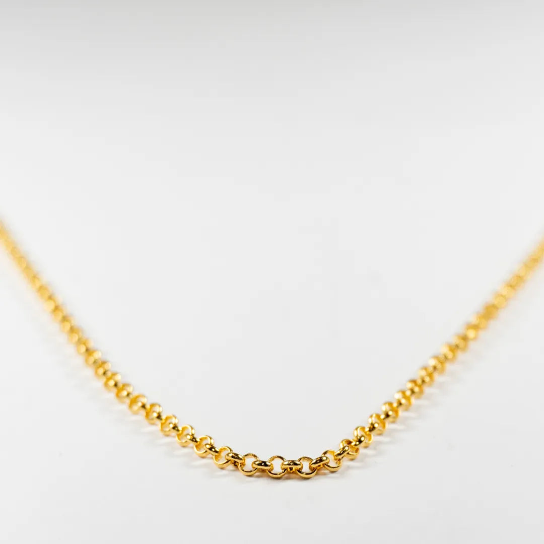 Pandora Ogrlica s Okruglim Karikama (Posebna Pandora legura metala s 14k pozlatom)