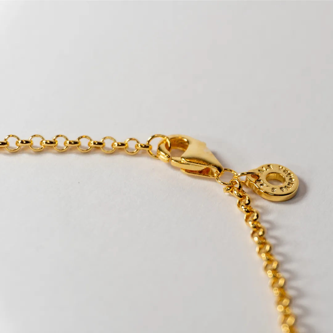 Pandora Ogrlica s Okruglim Karikama (Posebna Pandora legura metala s 14k pozlatom)