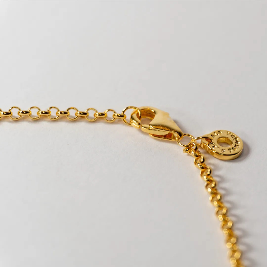 Pandora Ogrlica s Okruglim Karikama (Posebna Pandora legura metala s 14k pozlatom)