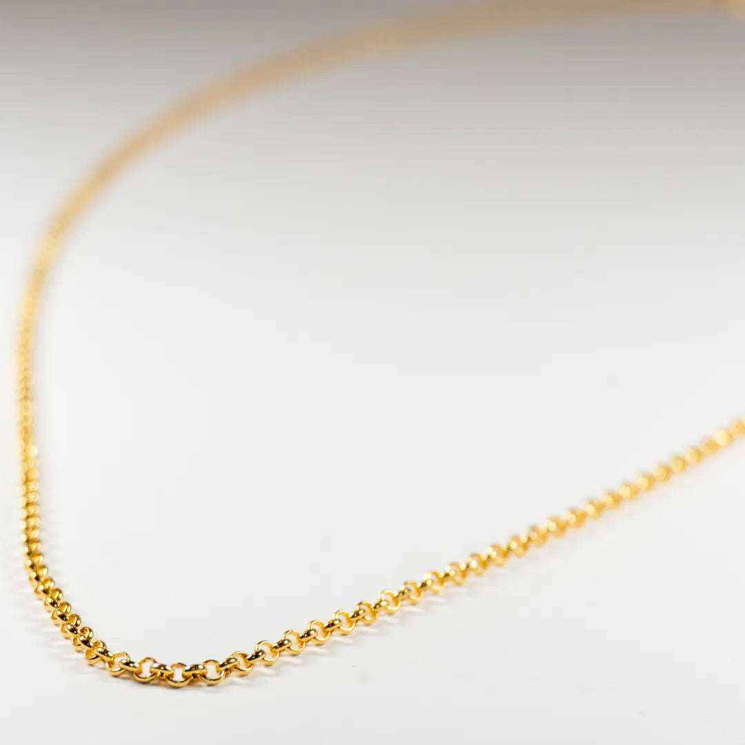 Pandora Ogrlica s Okruglim Karikama (Posebna Pandora legura metala s 14k pozlatom)